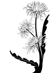 Similar image 888700