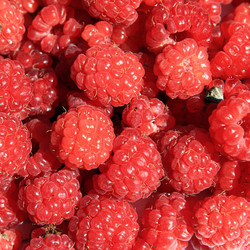 Similar image 888708