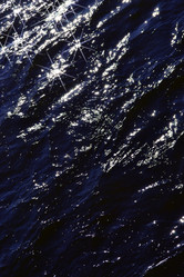 Similar image 888721