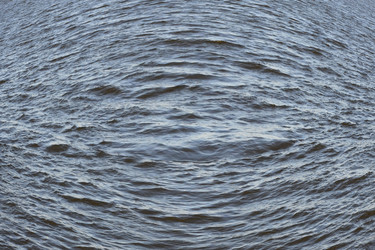 Similar image 888731