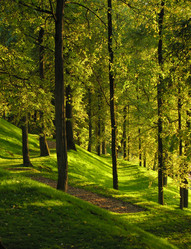 Similar image 888767