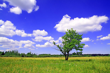 Similar image 888796