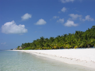 Similar image 888807