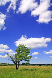 Similar image 888819