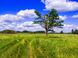 Similar image 888824