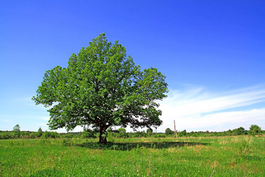 Similar image 888833