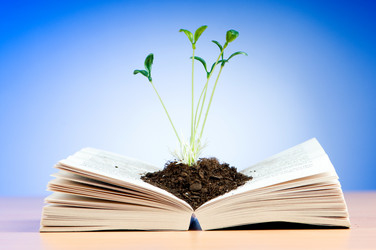 Similar image 888842