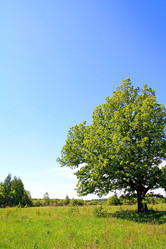 Similar image 888883