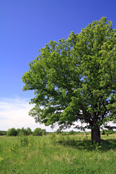 Similar image 888886