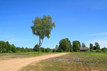 Similar image 888900