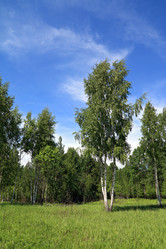 Similar image 888919