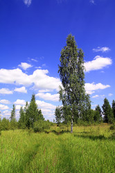 Similar image 888921