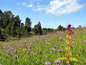 Similar image 888931