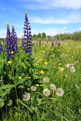 Similar image 888961