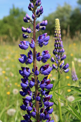 Similar image 888963