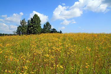 Similar image 888964