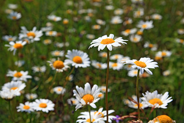 Similar image 888965