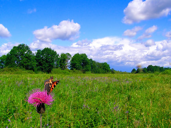 Similar image 888980