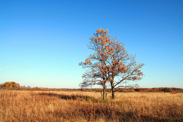 Similar image 888983