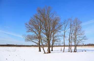 Similar image 888989