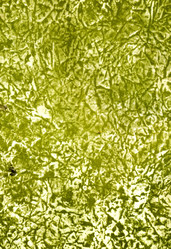 Similar image 888997