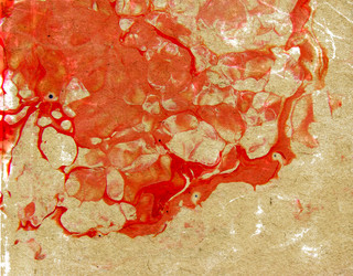 Similar image 889000