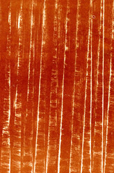 Similar image 889003