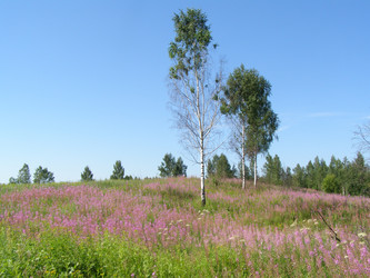 Similar image 889041