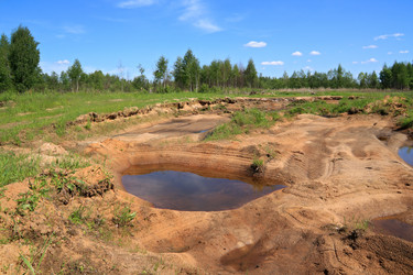 Similar image 889053