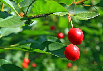 Similar image 889058