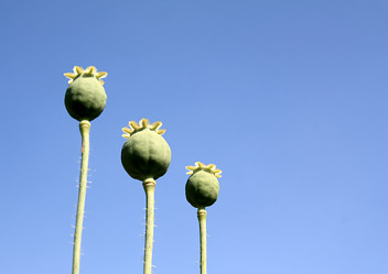 Similar image 889120