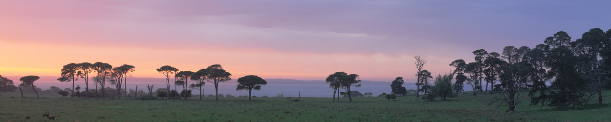 Similar image 889168