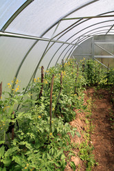 Similar image 889170