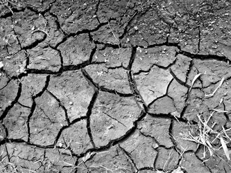 Similar image 889174