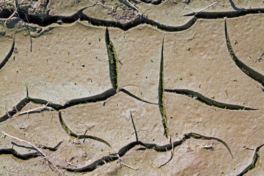 Similar image 889177