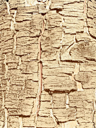 Similar image 889181