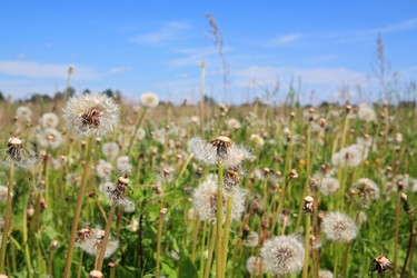 Similar image 889222