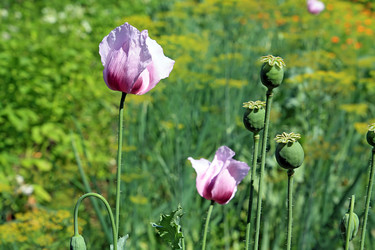 Similar image 889228