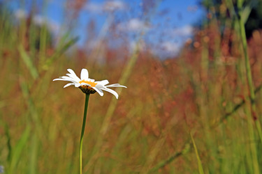 Similar image 889230