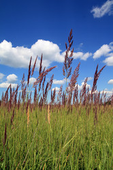 Similar image 889233