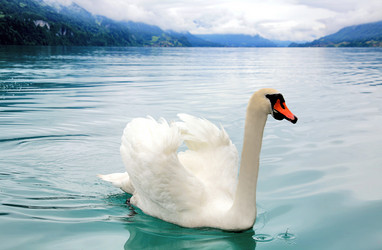 Similar image 889236