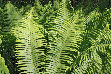 Similar image 889267