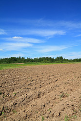 Similar image 889277