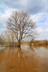 Similar image 889278