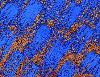 Similar image 889337