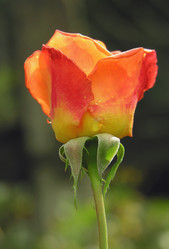 Similar image 889377