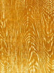 Similar image 889378