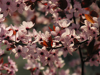 Similar image 889390