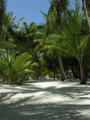 Similar image 889399