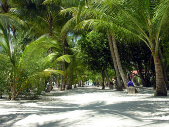 Similar image 889401